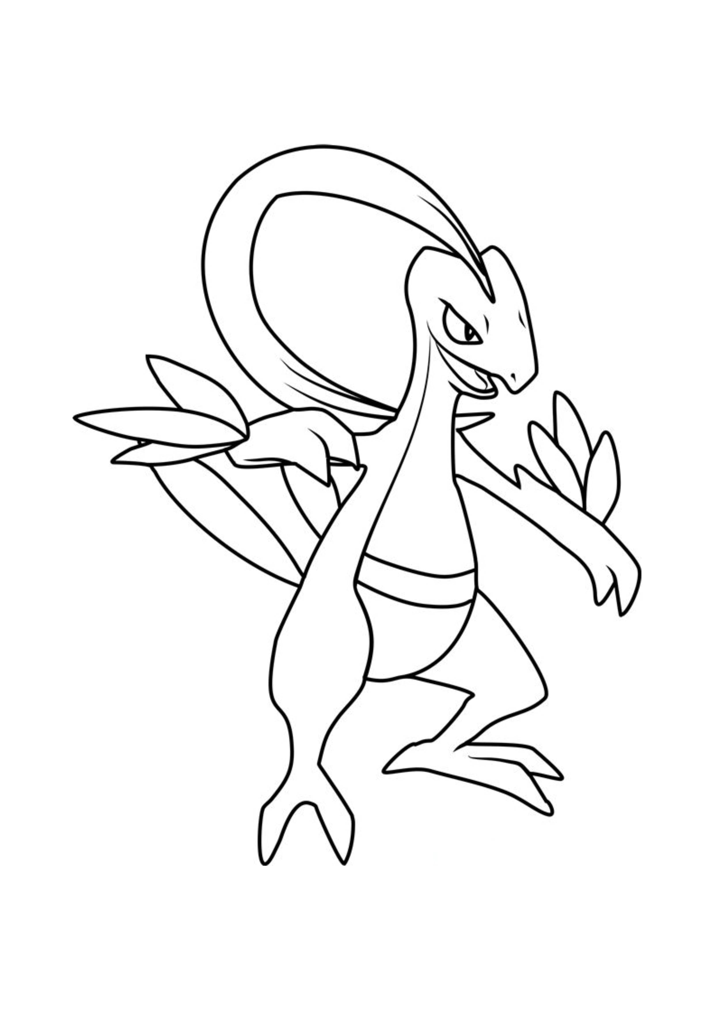 Grovyle coloring page (A4) to print