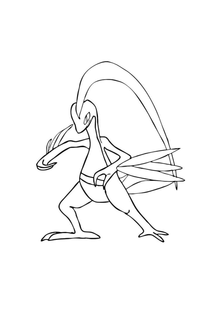 Grovyle coloring page (A4) to print