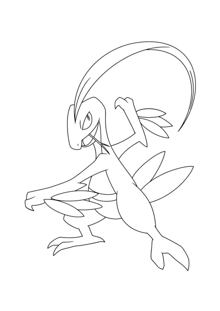 Grovyle coloring page (A4) to print