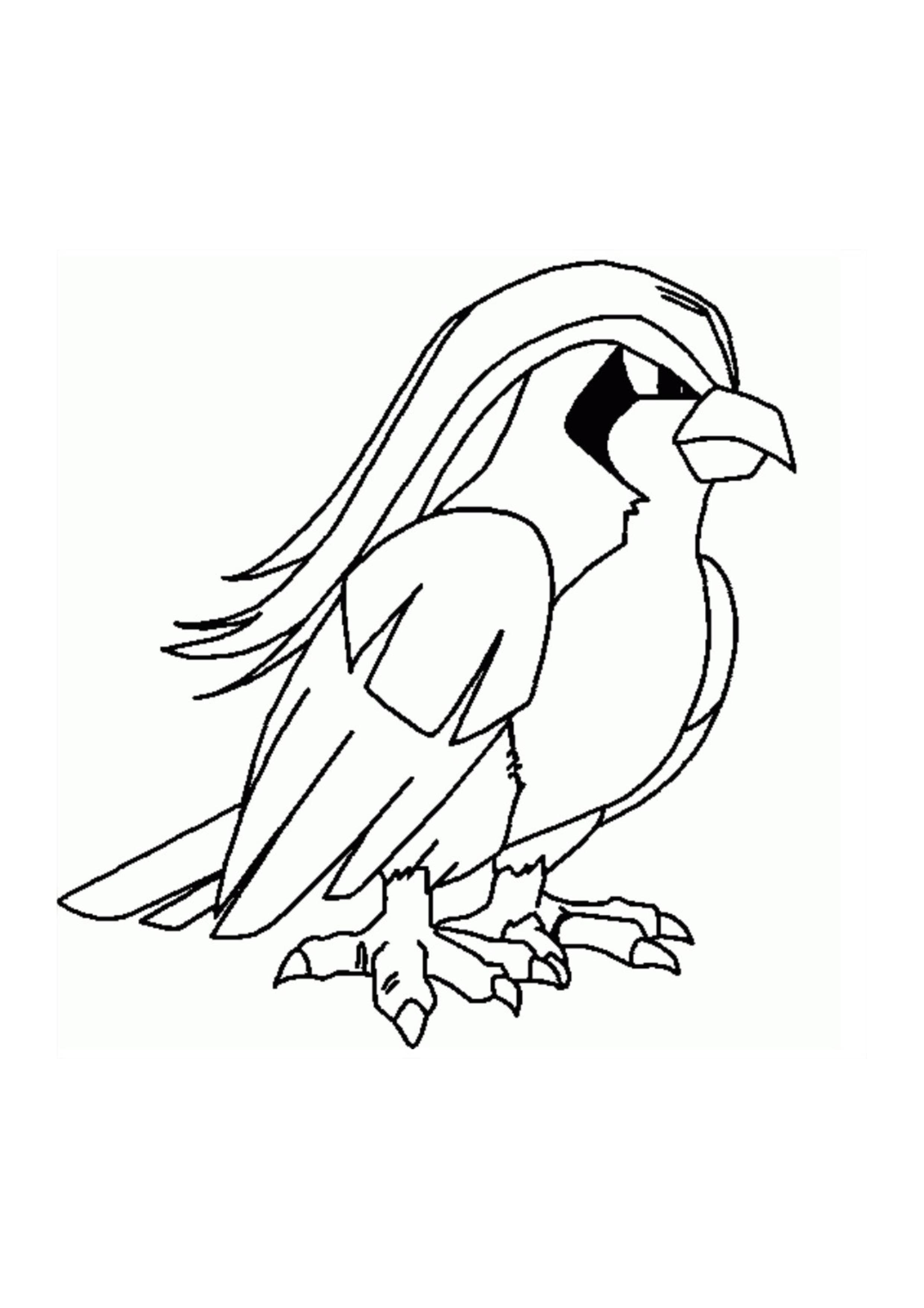 Pidgeot coloring page (A4) to print