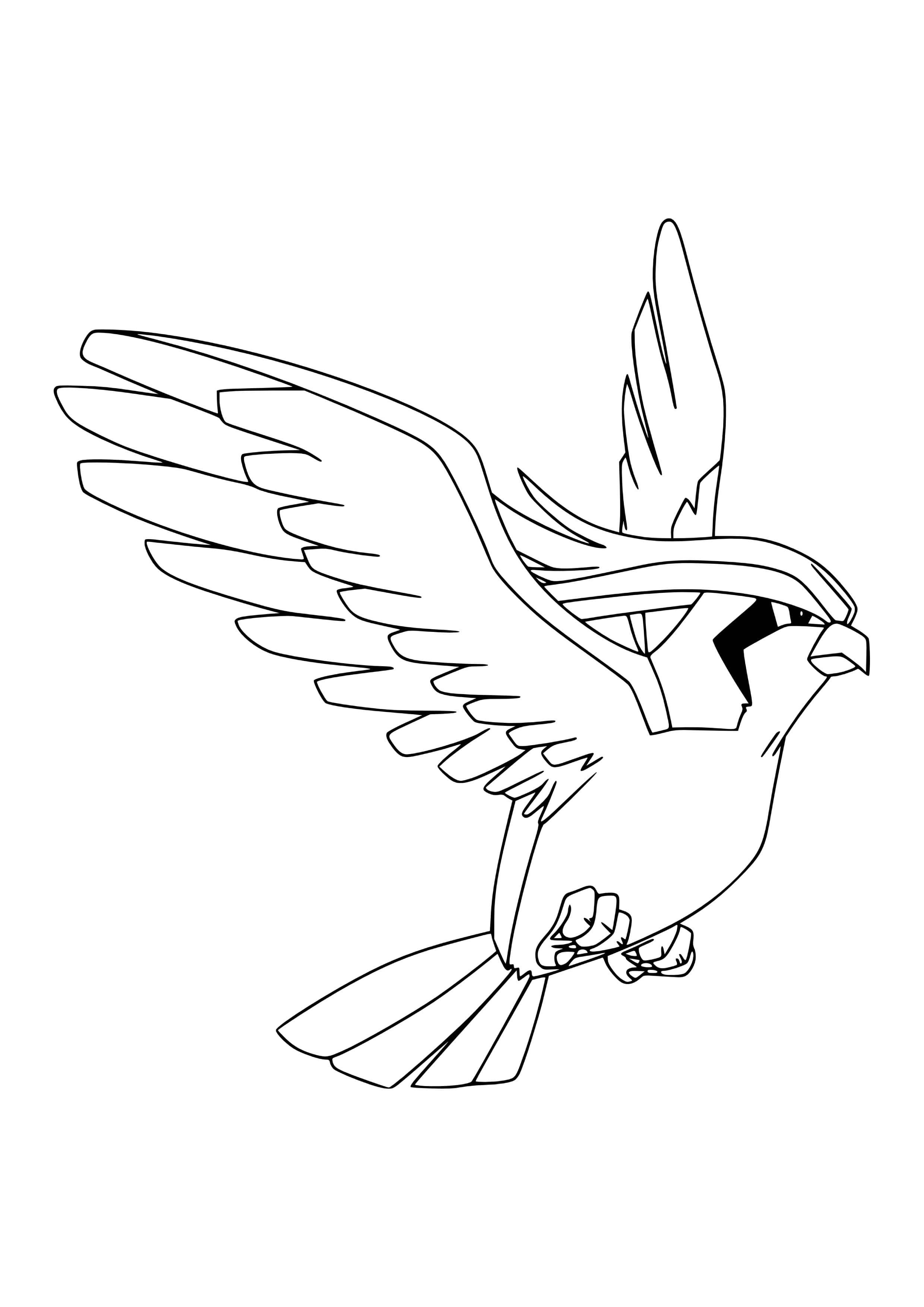 Pidgeot coloring page (A4) to print