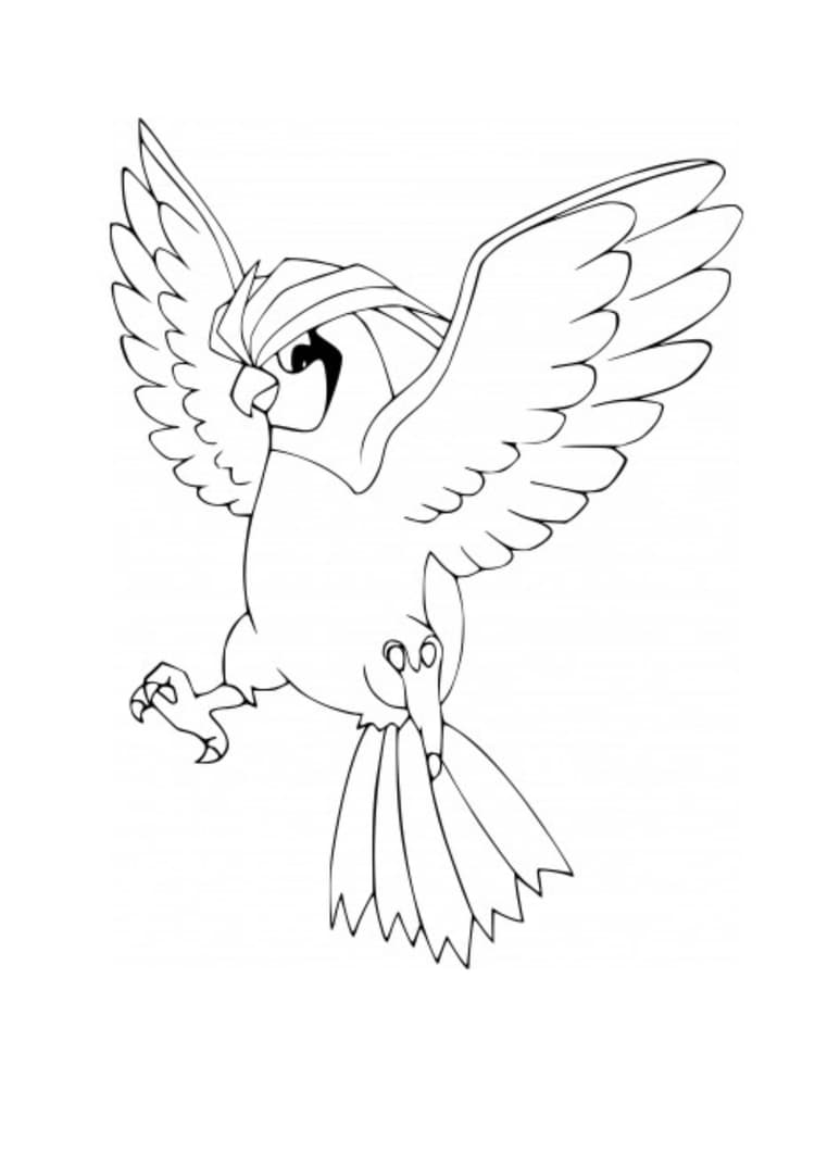 Pidgeotto coloring page (A4) to print