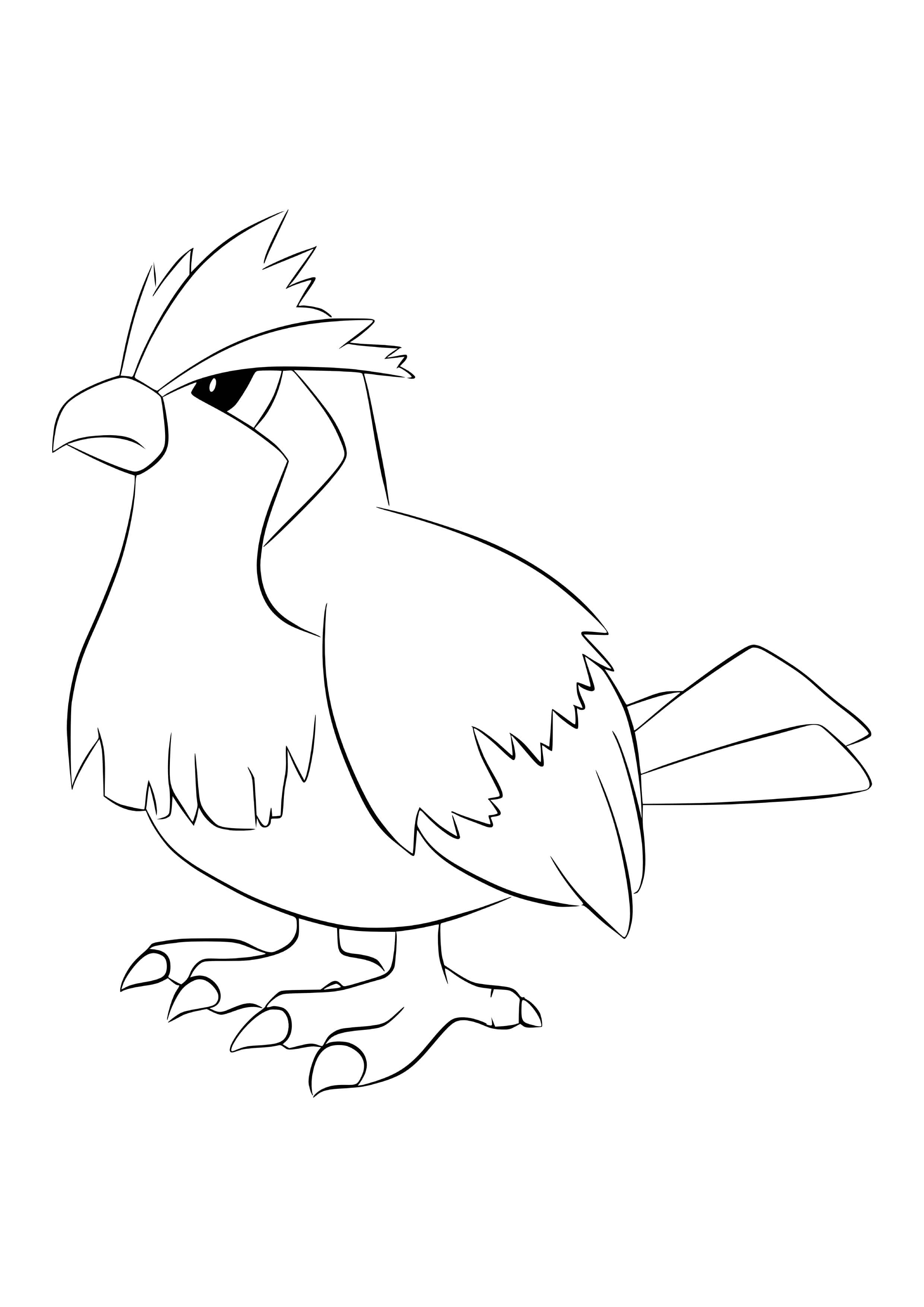 Pidgey coloring page (A4) to print