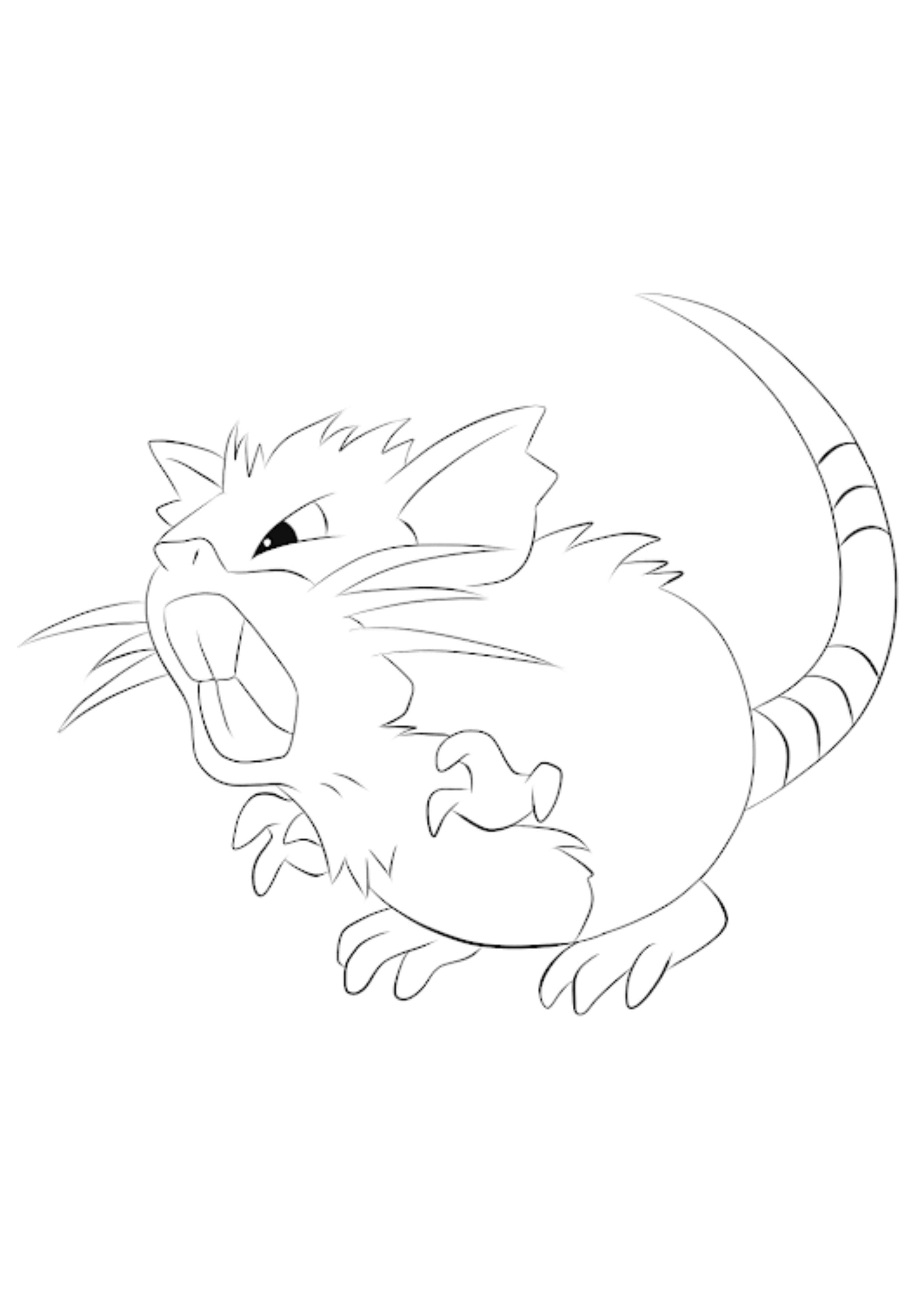 Raticate coloring page (A4) to print