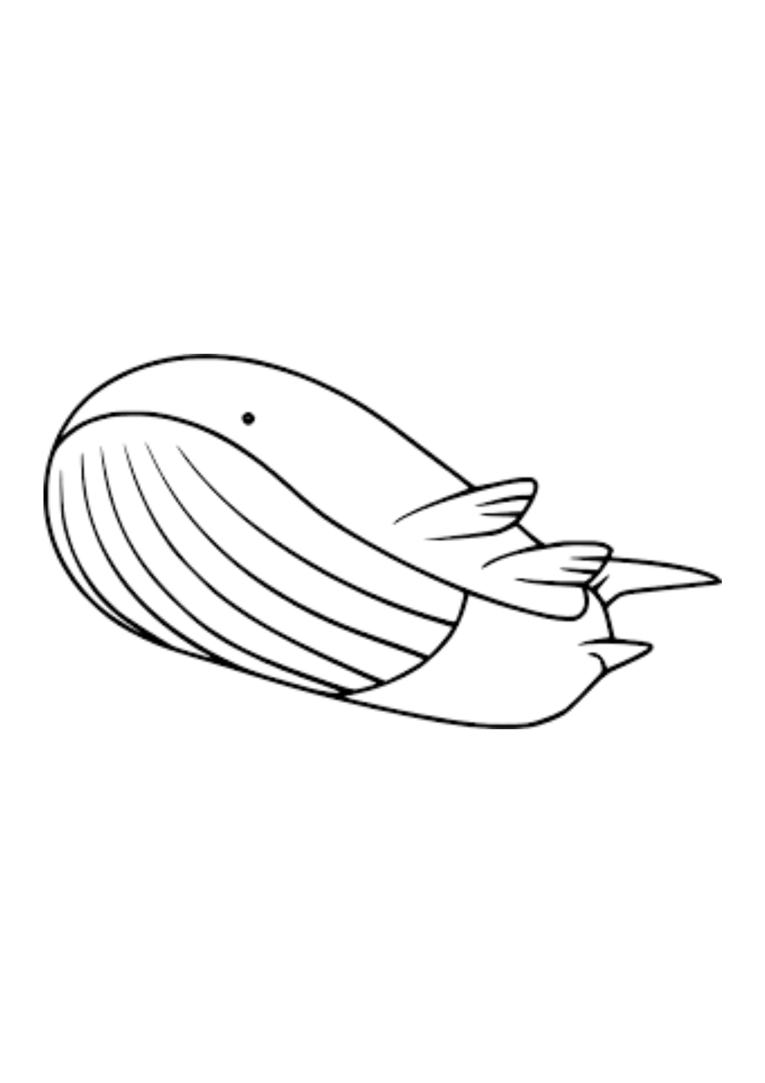 Wailord coloring page (A4) to print
