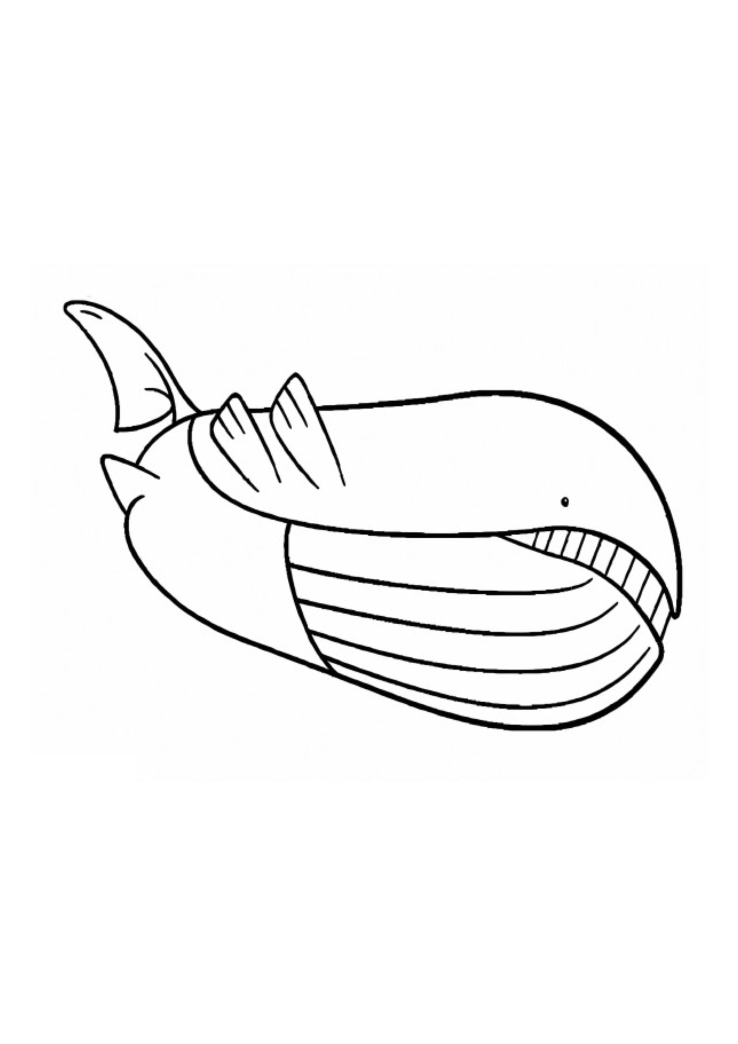 Wailord coloring page (A4) to print
