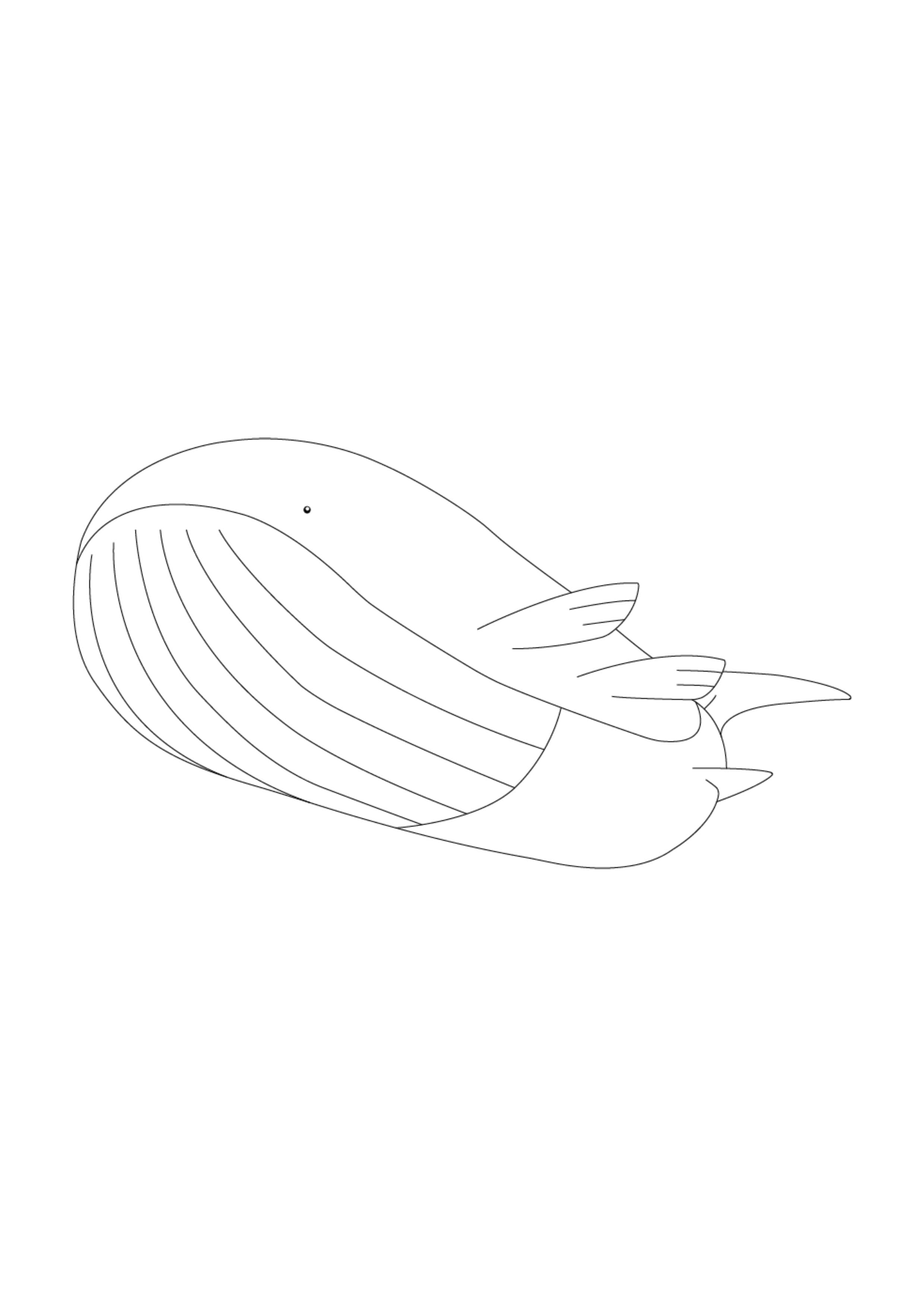 Wailord coloring page (A4) to print