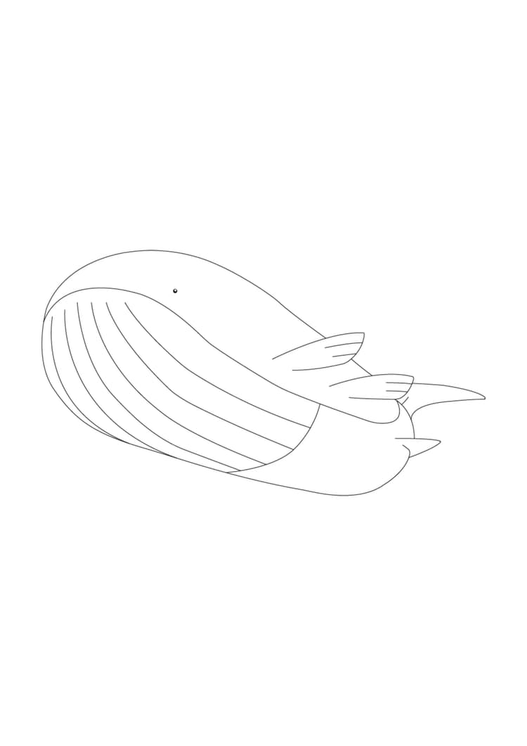 Wailord coloring page (A4) to print