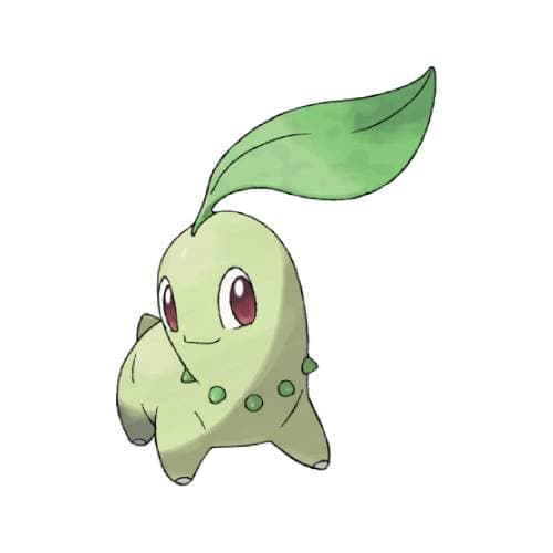 Chikorita