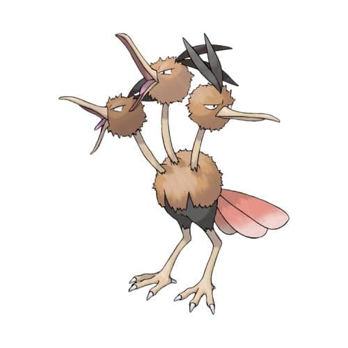 Dodrio