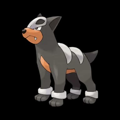 Houndour coloring page
