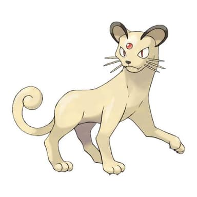 Persian coloring page