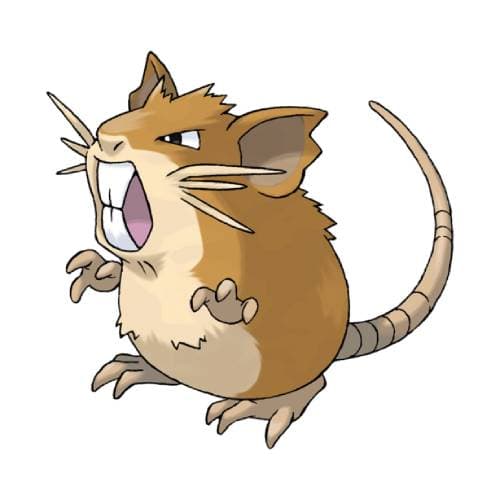 Raticate